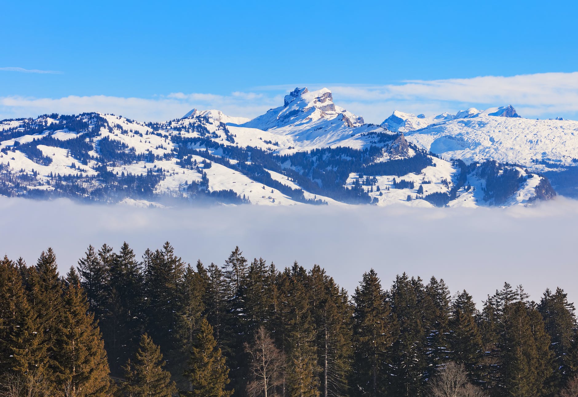 scenic view of mountains