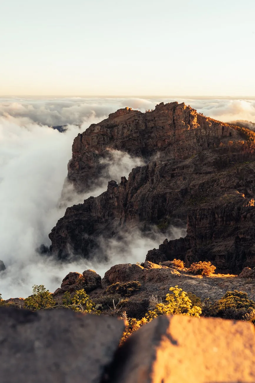 mountain covered with fog